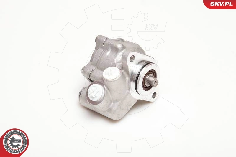 Hydraulic Pump, steering